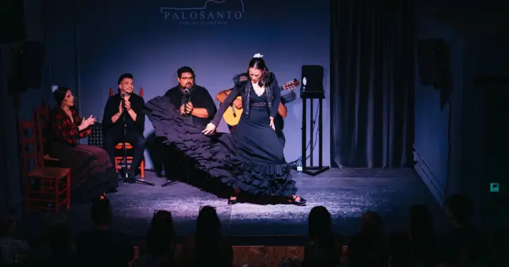 Valencia: Entrada Espectáculo Flamenco Palosanto