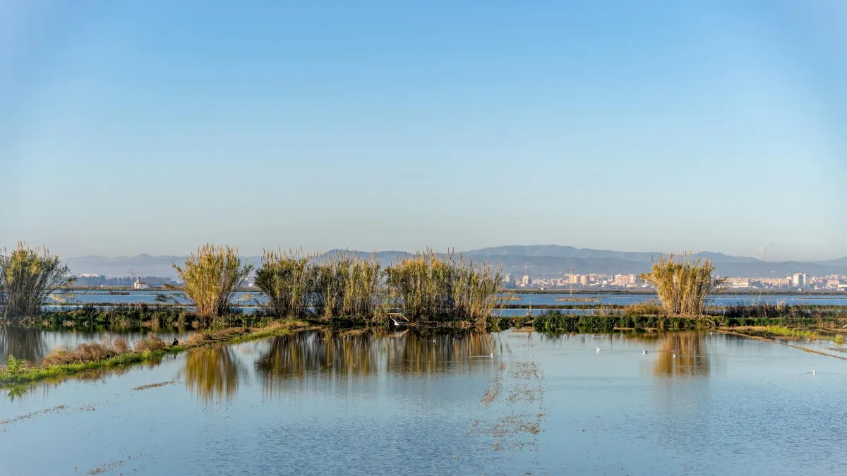 Albufera Valencia
