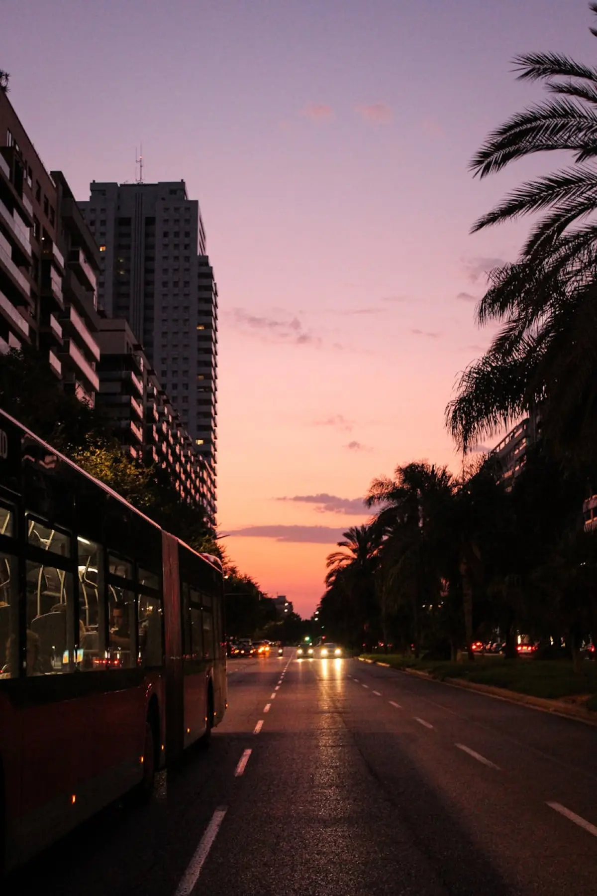 Bus turístico valencia