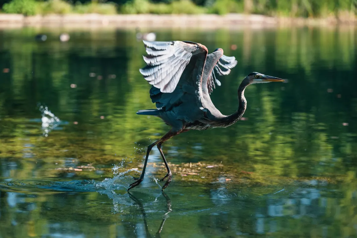 Everglades National Park