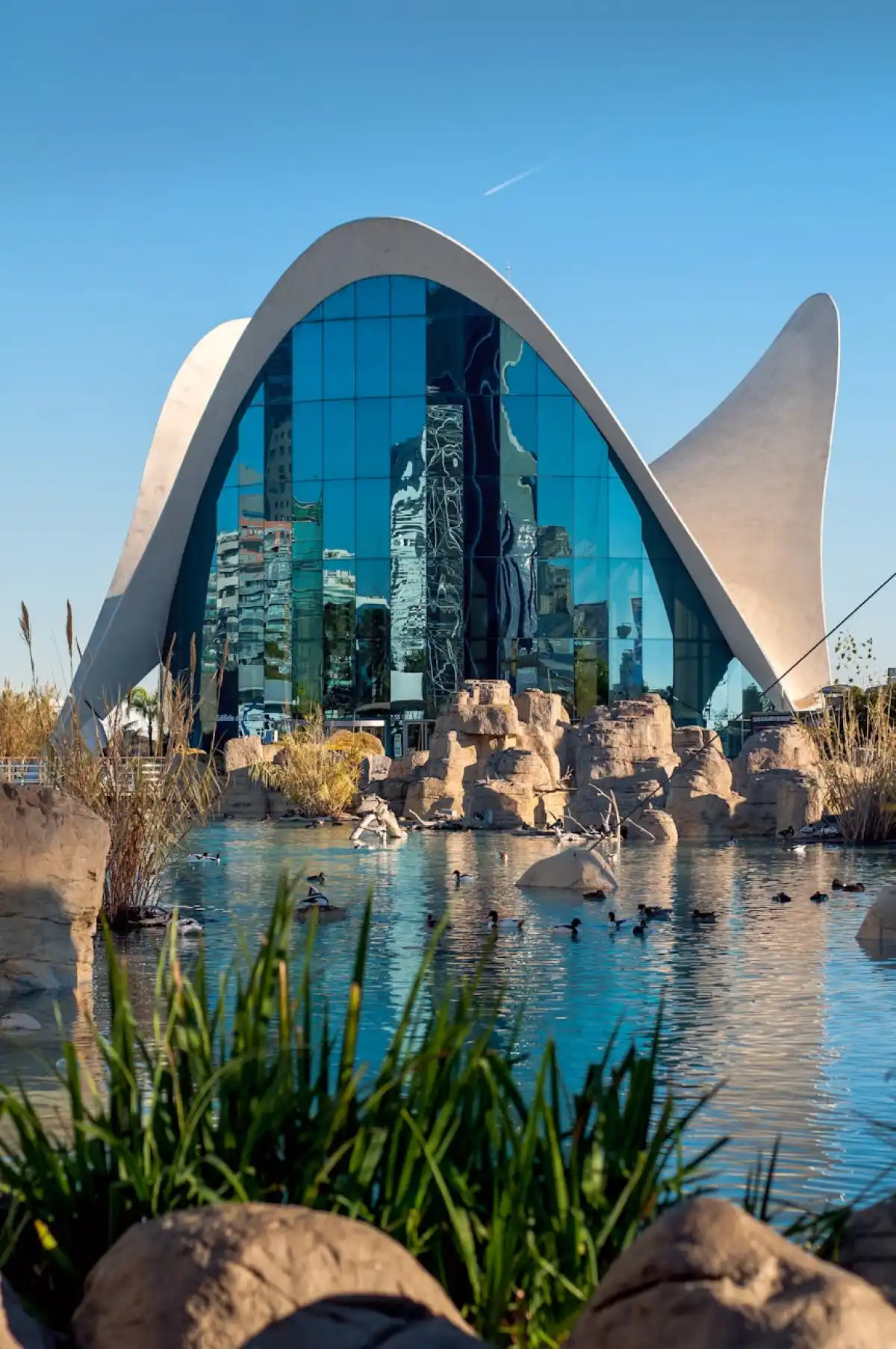 Oceanogràfic Valencia