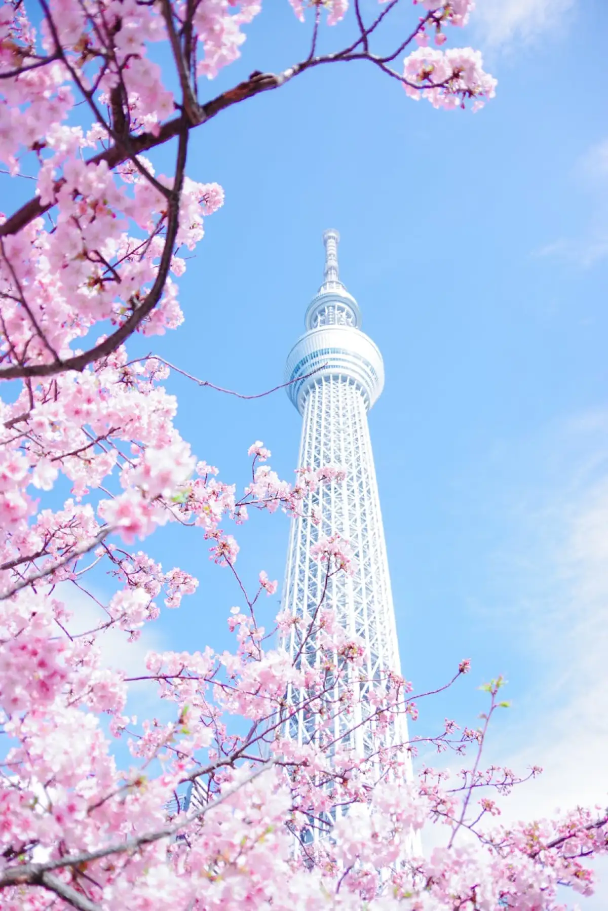 Tokyo Skytree