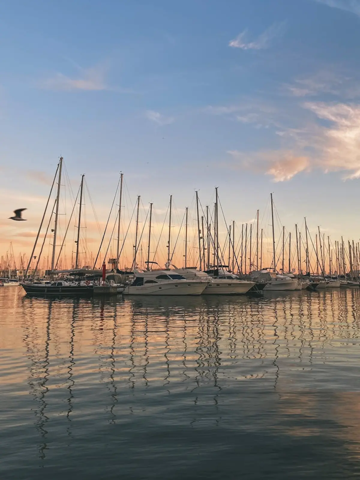 valencia boat